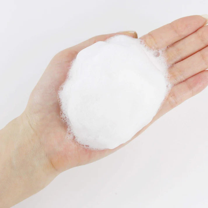 ROUND LAB - 1025 Dokdo Cleanser