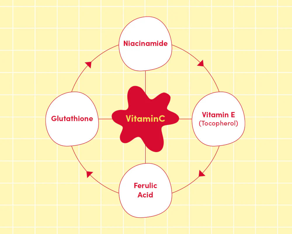 EQQUALBERRY  - Vitamin illuminating Serum